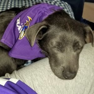 Meet your Posher, Nikki